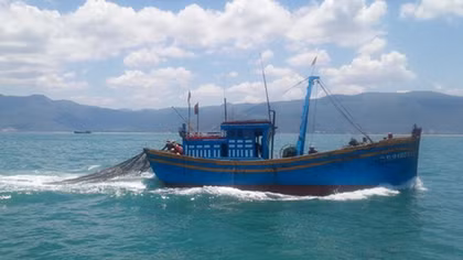 Hãy bảo tồn sự sống của đại dương