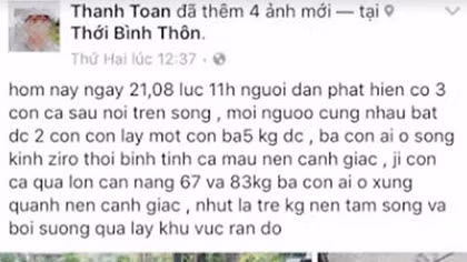 Thanh niên bịa chuyện bắt cá sấu dưới kênh bị phạt 10 triệu đồng