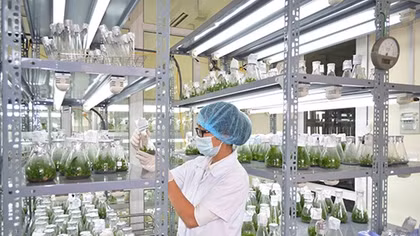 3 đối tượng phải đăng ký cấp Giấy phép tiếp cận nguồn gen