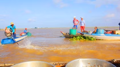 Hệ sinh thái lưu vực sông Mê Kông đối mặt với những thách thức lớn