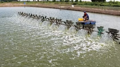 Đối thoại với người dân Quảng Nam trong vùng nuôi tôm tập trung