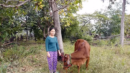  Trở lại vụ “ép” dân nghèo mua bò với giá quá cao