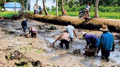 Về miền Tây tát đìa ăn Tết