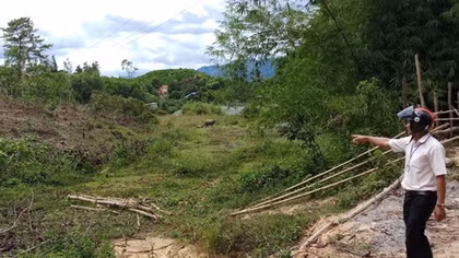 Chủ đầu tư thủy điện A Lưới yêu cầu xác định rõ nguyên nhân khô hạn