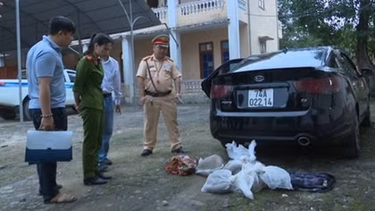 Thuê xe ô tô vận chuyển, buôn bán trái phép động vật hoang dã quý hiếm
