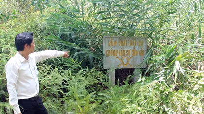 Nhiều người dân chết vì ung thư, chính quyền và cơ quan chức năng dửng dưng 