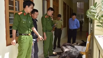Đấu tranh mạnh với tội phạm hình sự