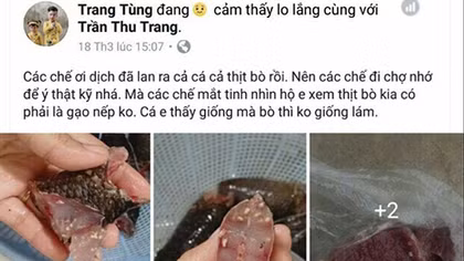 Tung tin dịch cá, bò nhiễm sán để bán hàng online