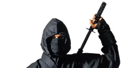 Ninjutsu: Huyền thoại các Ninja