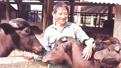 Trâu ơi ta bảo trâu này...