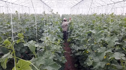 Tích tụ ruộng đất, mở rộng hạn điền: Được nhiều hơn mất