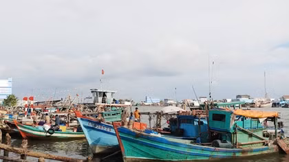 Cà Mau triển khai nhiều biện pháp khai thác thủy sản bền vững