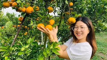 Đặc sản miền Tây Nam bộ giảm sản lượng vì COVID-19