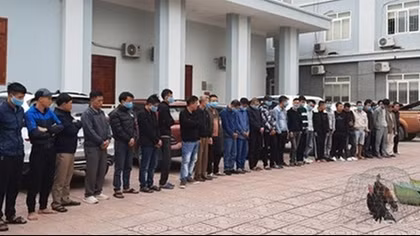 Hơn 30 đối tượng sát phạt trong sới gà 