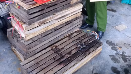 Xe khách vận chuyển 25 cá thể động vật hoang dã trái phép