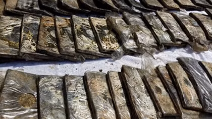Triệt phá nguồn cung ma túy trị giá 54 tỷ USD cho nửa châu Âu và Trung Ðông