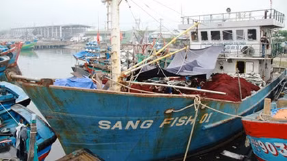 Tàu nội quá cũ, khó cạnh tranh vận tải hàng hải