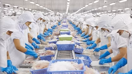 VASEP đề xuất 5 biện pháp khắc phục “thẻ vàng” IUU