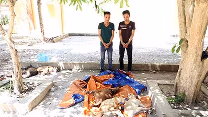Liên tiếp bắt giữ nhiều “cẩu tặc”