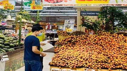 Đẩy mạnh tiêu thụ nội địa nông sản đến kỳ thu hoạch