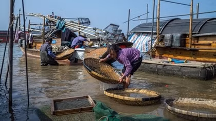 Bộ tộc cổ bị mai một, cuộc sống lênh đênh