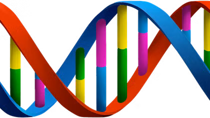 Những quan ngại xung quanh: Em bé biến đổi gene!