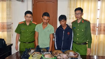 Mua tê tê của thợ săn rồi bán kiếm lời, 2 đối tượng bị bắt 