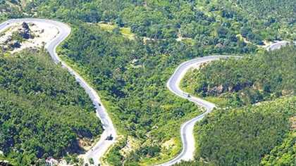 Bạt gió trầm hương
