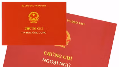 Giảm thiểu quy định về chứng chỉ ngoại ngữ, tin học trong tuyển dụng công chức, viên chức