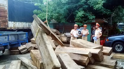 Lật tẩy thủ đoạn vận chuyển gỗ lậu trên tuyến Quốc lộ 1