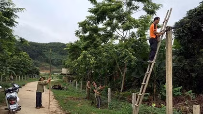 Việc bình dị nơi “khi ta đi đất bỗng hóa tâm hồn”