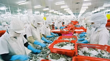 Rộng cửa cho thủy sản Việt Nam vào khu vực châu Mỹ
