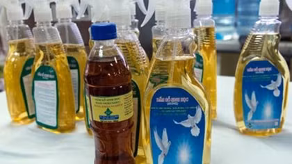 Sản xuất thuốc bảo vệ thực vật thiên nhiên từ giấm gỗ sinh học