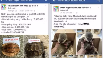 Xử lý nhiều trường hợp rao bán động vật hoang dã trên mạng