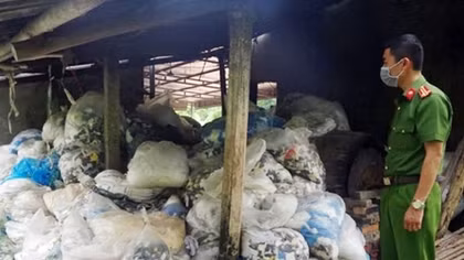 Ngăn chặn 13,5 tấn rác găng tay y tế chuẩn bị "tái chế"