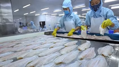 EVFTA: Tạo cú hích cho xuất khẩu thủy sản Việt Nam vào EU