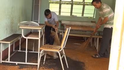 Tình trạng bọ đen “tấn công” phòng học