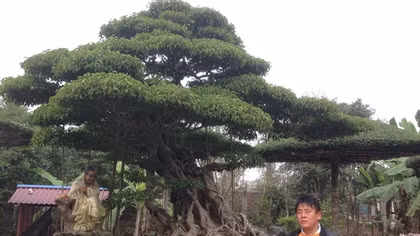 Bí mật của những người làm nghề “Đánh cắp thời gian”