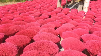 Đi qua vùng đất thơm