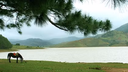 Ký ức Đankia - Suối Vàng