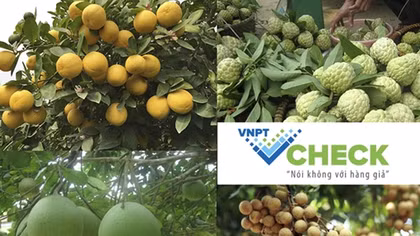 Phát triển những ứng dụng công nghệ xây dựng nền nông nghiệp thông minh 