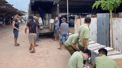 Phát hiện ổ nhóm chuyên trung chuyển hàng "Nhật bãi" từ biên giới Tây Nam