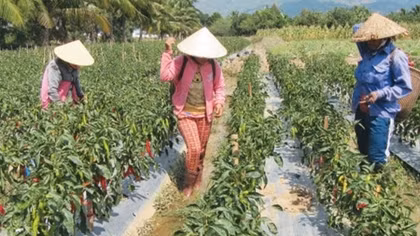 Đào tạo nghề cho lao động nông thôn trong kỷ nguyên 4.0