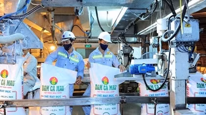 Đạm Cà Mau lợi nhuận 6 tháng đầu năm 2019 đạt 55% kế hoạch năm