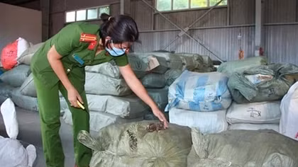 5 container chứa thảo dược nhập lậu vào cảng Đà Nẵng 