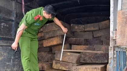 Dùng ôtô “hết đát” chở 46 phách gỗ lậu