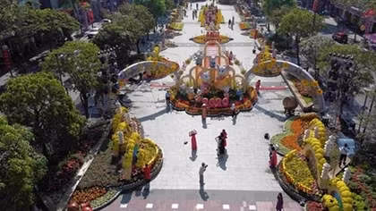 Thi thiết kế Đường hoa Nguyễn Huệ