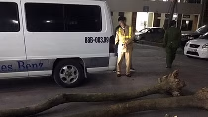 Đào trộm gỗ sưa giấu trên xe khách mang đi tiêu thụ thì bị bắt