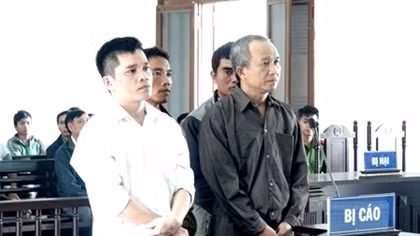 Hủy hoại rừng, 4 bị cáo lãnh án 28 năm 6 tháng tù