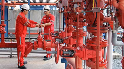 Khả năng sinh lời cao của cổ phiếu NT2